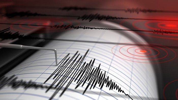 Delhi temblor due to regional geological variation, not plate tectonic: Scientist